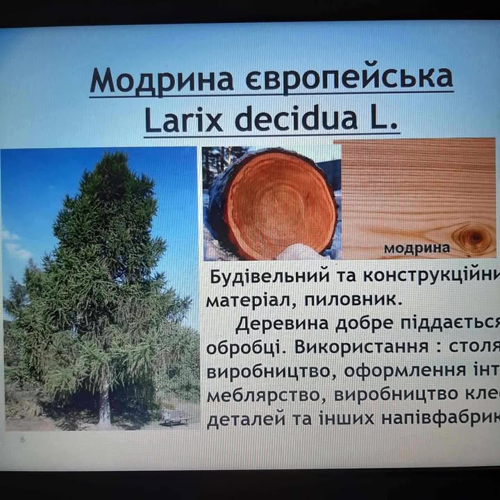 473039157_1277144253372454_8412953627480678816_n