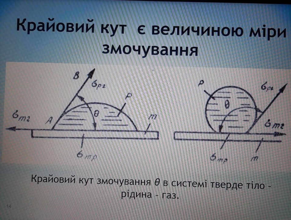 472817866_1277143646705848_9152706517841624455_n