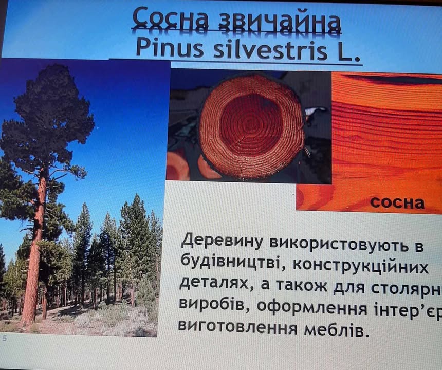 473155784_1277143856705827_2158826605882415495_n