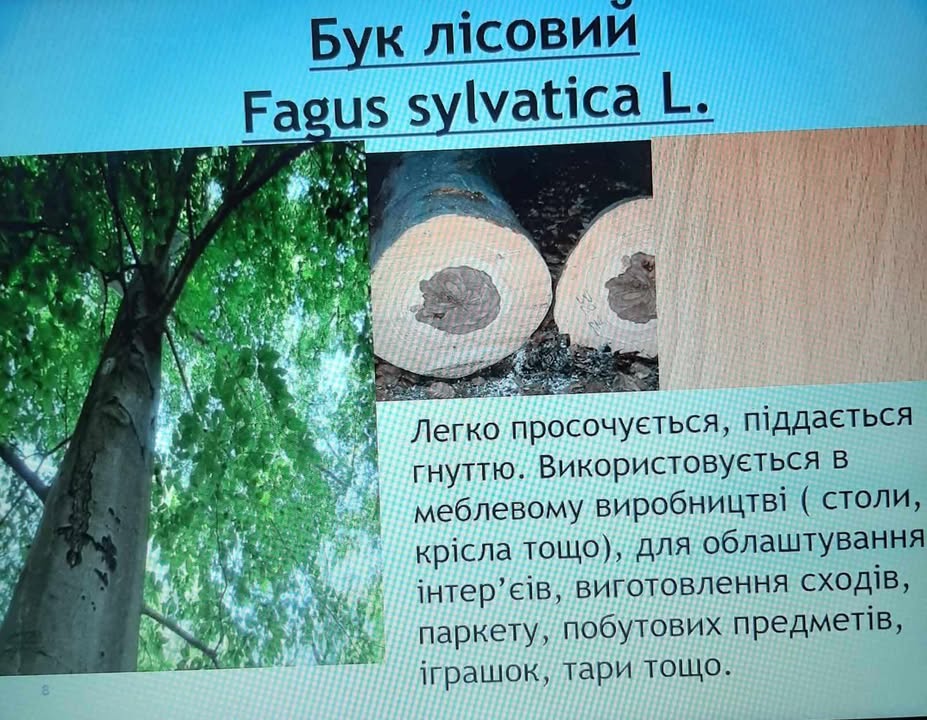 473133369_1277144020039144_3618880769265937698_n