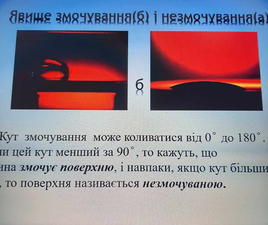 473154815_1277144116705801_7409217439955255042_n