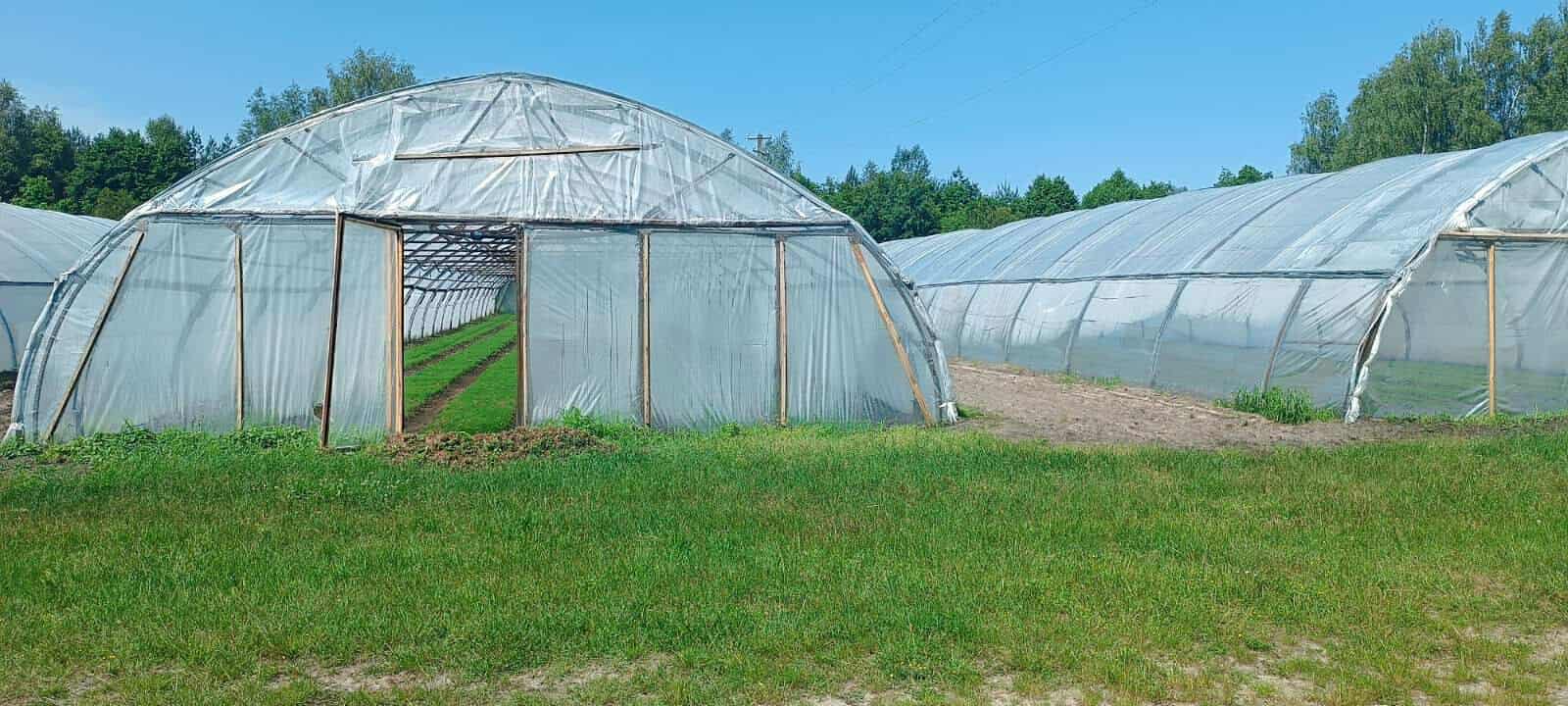 512657902_1400761891010689_7634387208831056626_n