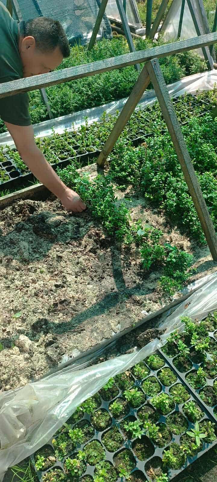 512653644_1400762361010642_3158730140978538203_n