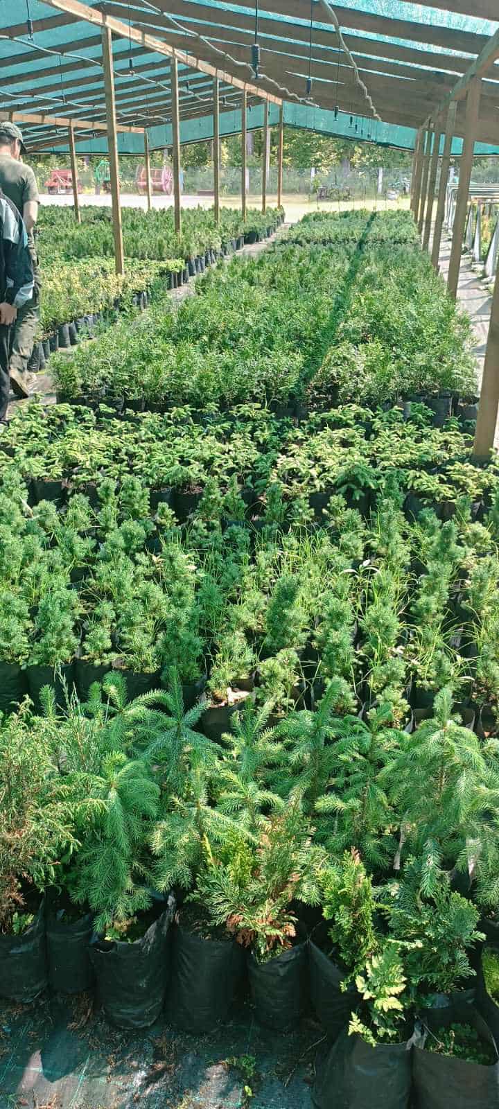 511173624_1400762521010626_5982021404143286624_n