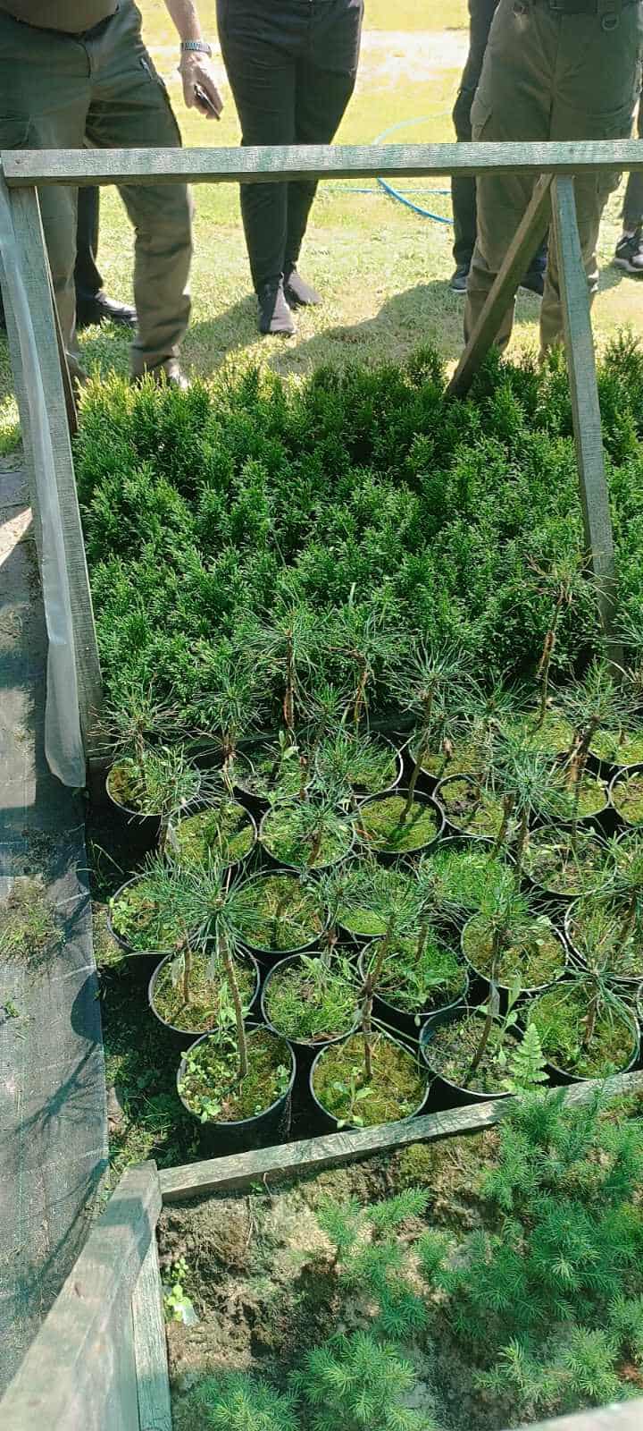 512285285_1400762577677287_6038686021254304184_n