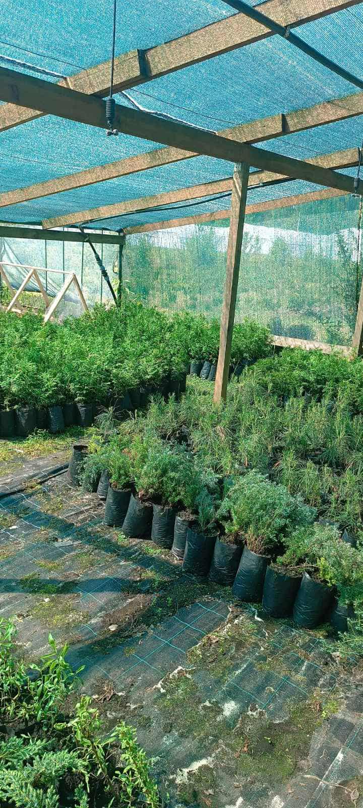 511308623_1400764077677137_9071013824544629993_n