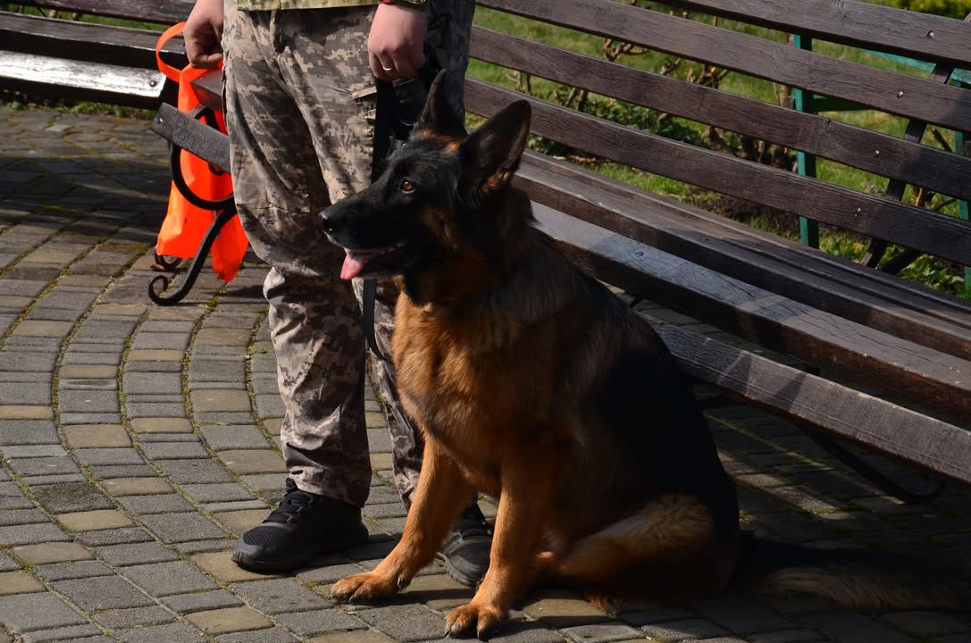 660827809_1627949864958556_3545502421977297367_n