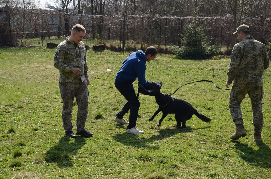 658160006_1627955171624692_94969795734233699_n